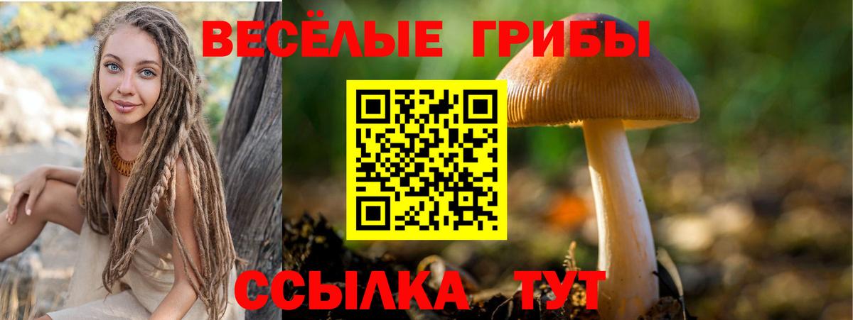 Псилоцибиновые грибы прущие грибы  Вход с VPN  Майский 